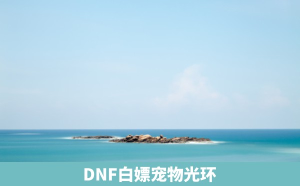 DNF白嫖宠物光环