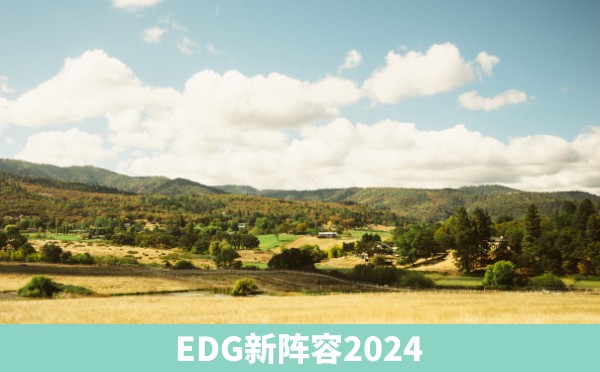 EDG新阵容2024