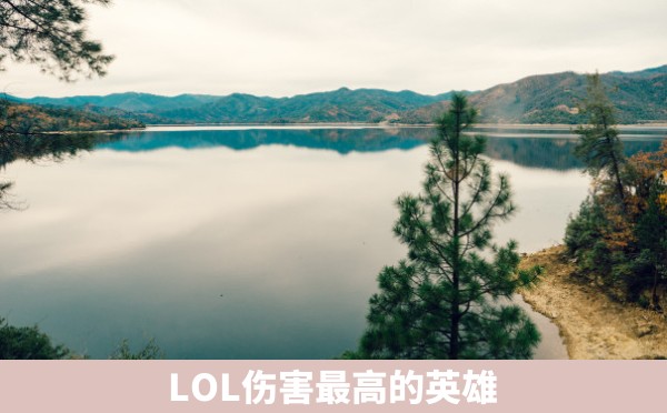 LOL伤害最高的英雄