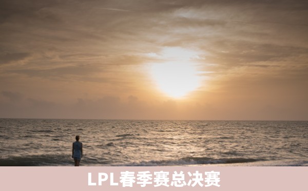 LPL春季赛总决赛