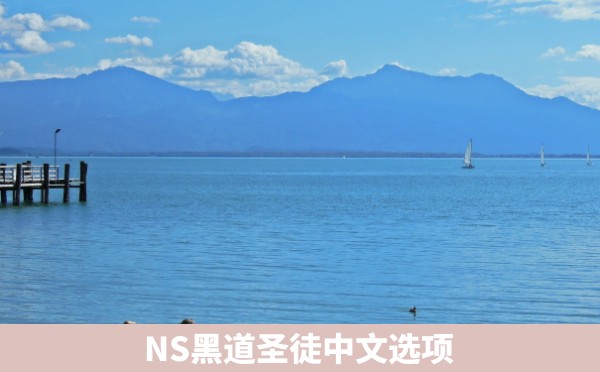 NS黑道圣徒中文选项