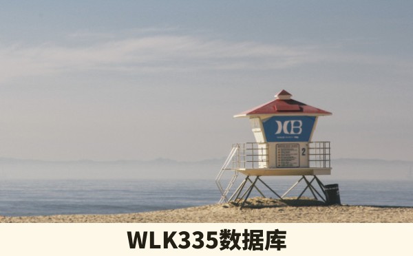 WLK335数据库