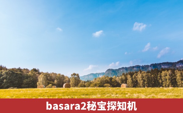 basara2秘宝探知机