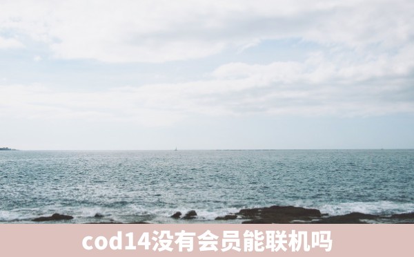 cod14没有会员能联机吗