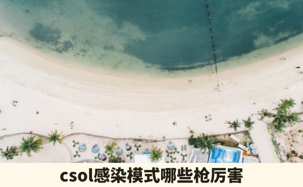 csol感染模式哪些枪厉害