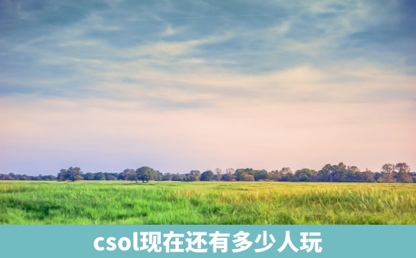 csol现在还有多少人玩