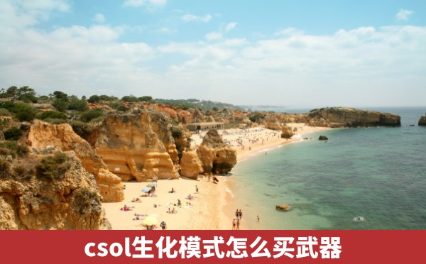 csol生化模式怎么买武器