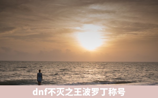 dnf不灭之王波罗丁称号