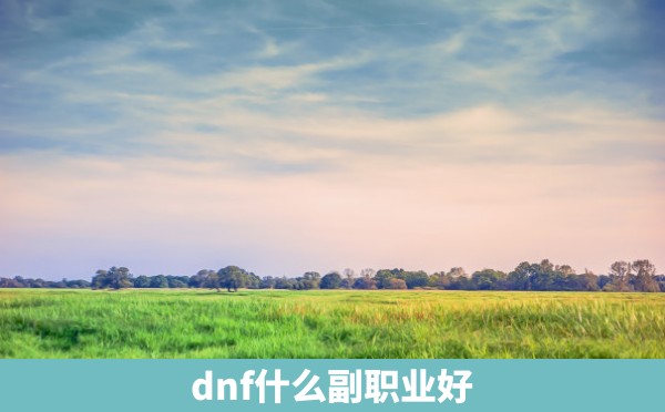 dnf什么副职业好