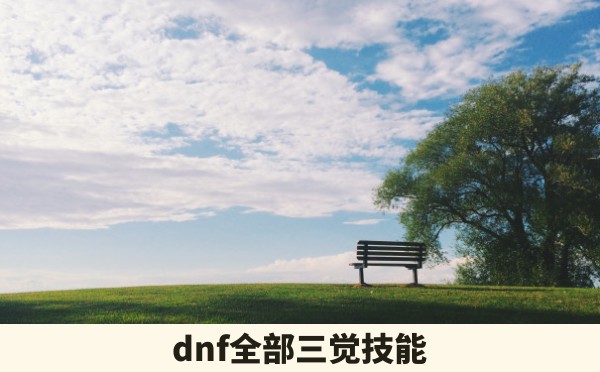 dnf全部三觉技能