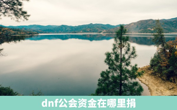 dnf公会资金在哪里捐