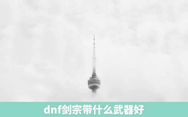 dnf剑宗带什么武器好