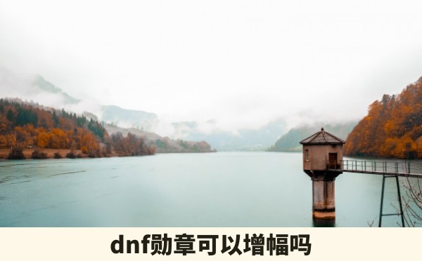 dnf勋章可以增幅吗