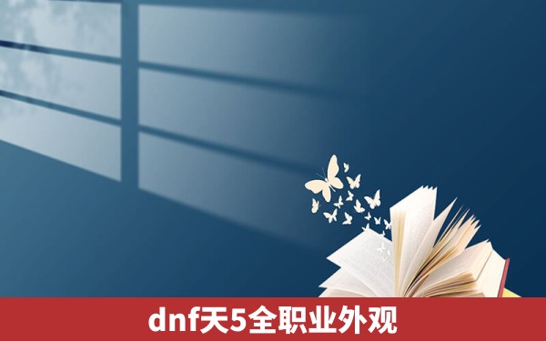 dnf天5全职业外观