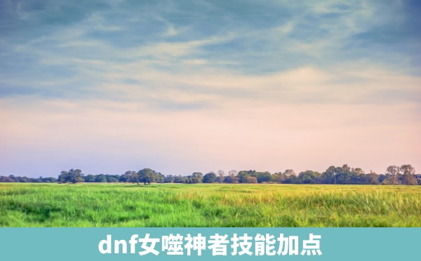 dnf女噬神者技能加点