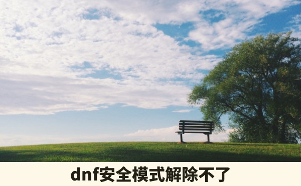 dnf安全模式解除不了