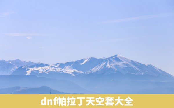 dnf帕拉丁天空套大全