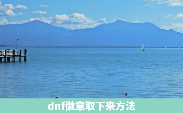 dnf徽章取下来方法