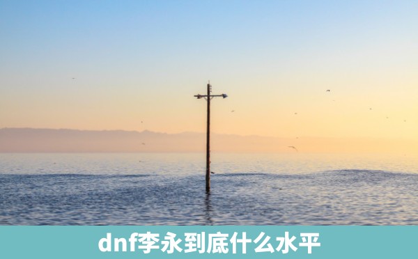 dnf李永到底什么水平