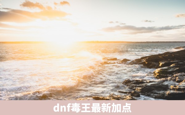 dnf毒王最新加点