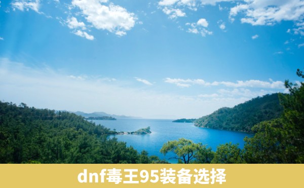 dnf毒王95装备选择