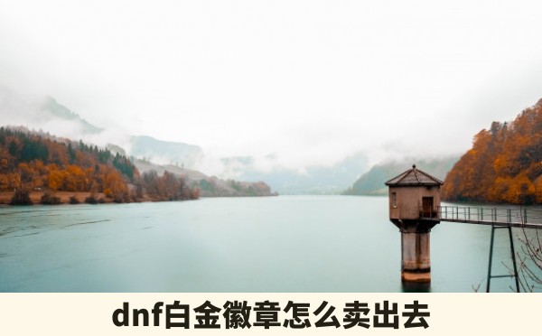 dnf白金徽章怎么卖出去