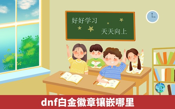 dnf白金徽章镶嵌哪里