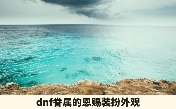 dnf眷属的恩赐装扮外观