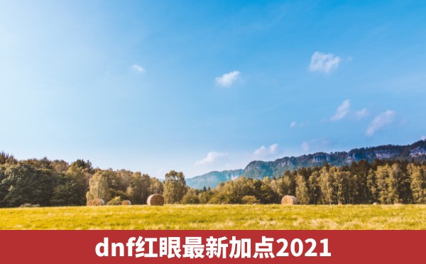 dnf红眼最新加点2021