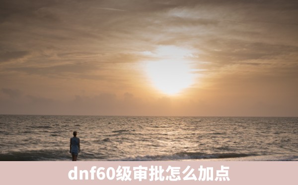 dnf60级审批怎么加点