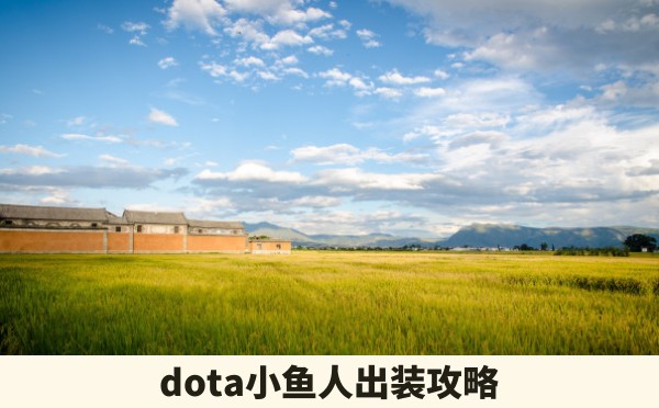 dota小鱼人出装攻略