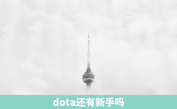 dota还有新手吗