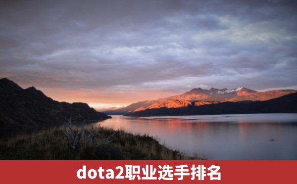 dota2职业选手排名