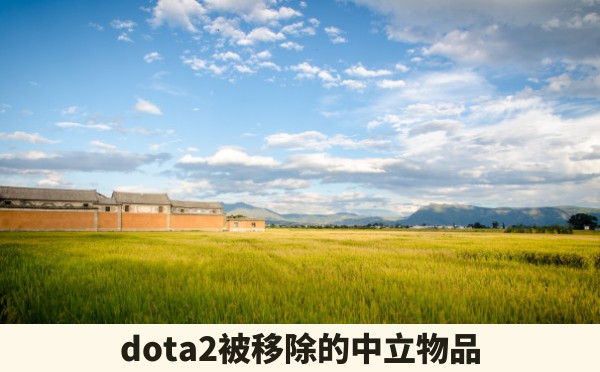 dota2被移除的中立物品