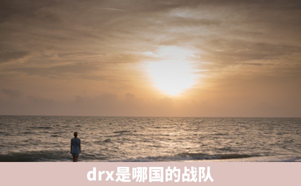 drx是哪国的战队