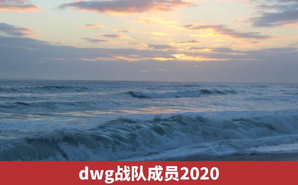 dwg战队成员2020