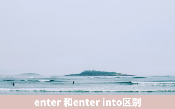 enter 和enter into区别