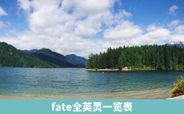 fate全英灵一览表