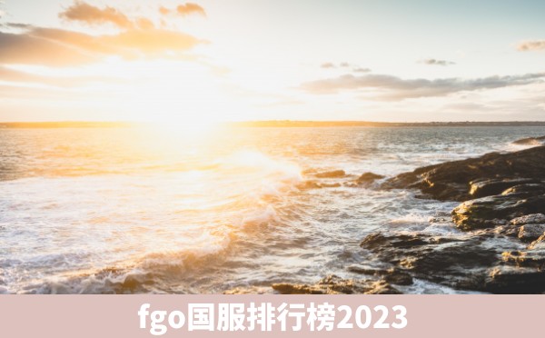 fgo国服排行榜2023