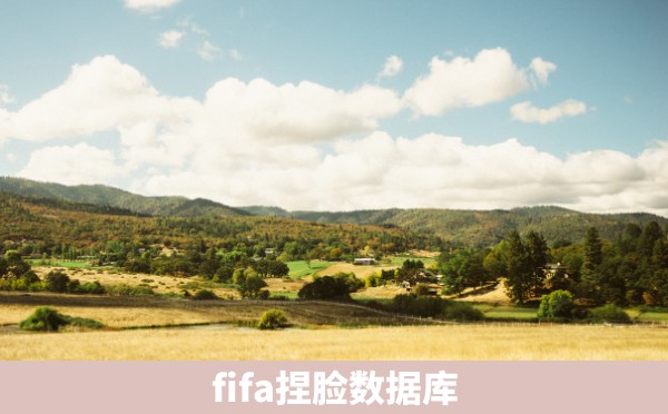 fifa捏脸数据库