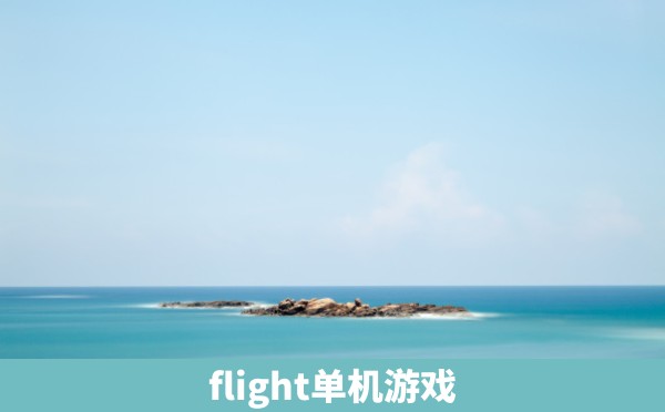 flight单机游戏