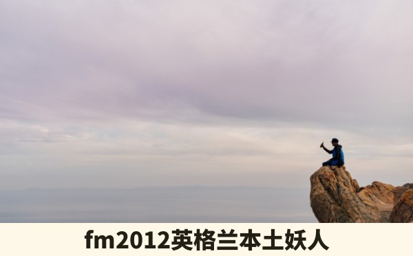 fm2012英格兰本土妖人