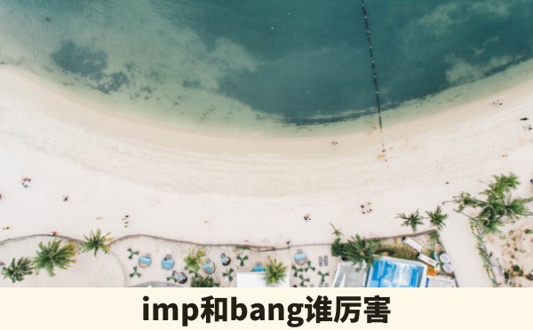 imp和bang谁厉害