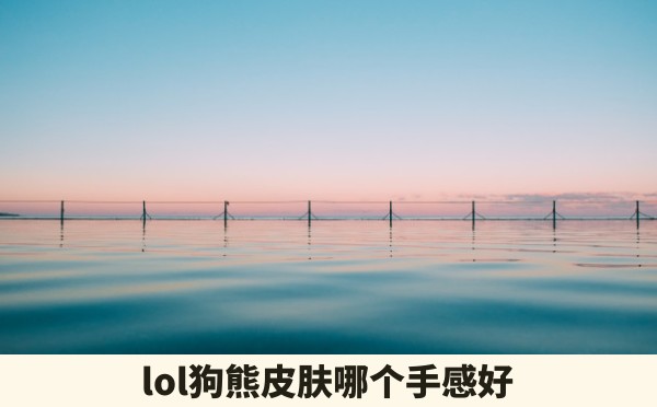 lol狗熊皮肤哪个手感好