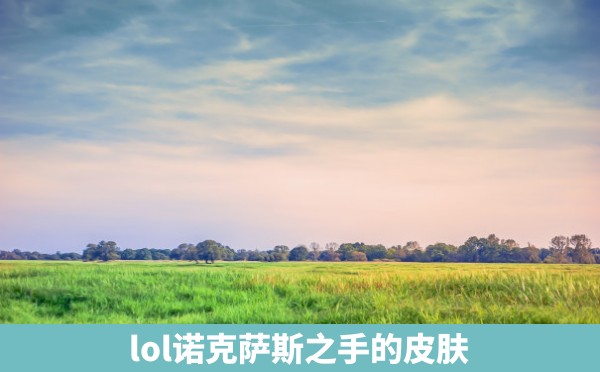 lol诺克萨斯之手的皮肤