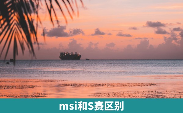 msi和S赛区别