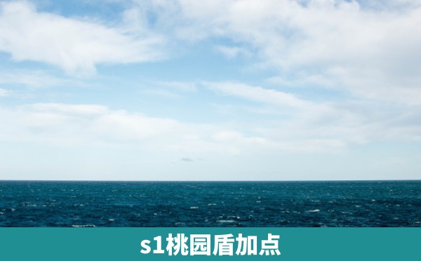 s1桃园盾加点