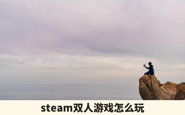 steam双人游戏怎么玩