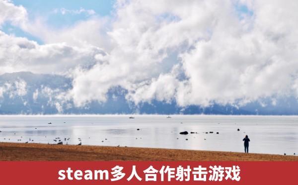 steam多人合作射击游戏