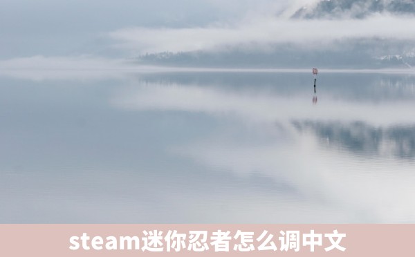 steam迷你忍者怎么调中文